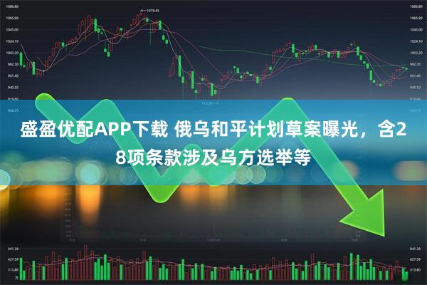盛盈优配APP下载 俄乌和平计划草案曝光，含28项条款涉及乌方选举等